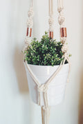 Macrame Plant Hanger, Hanging Planter
