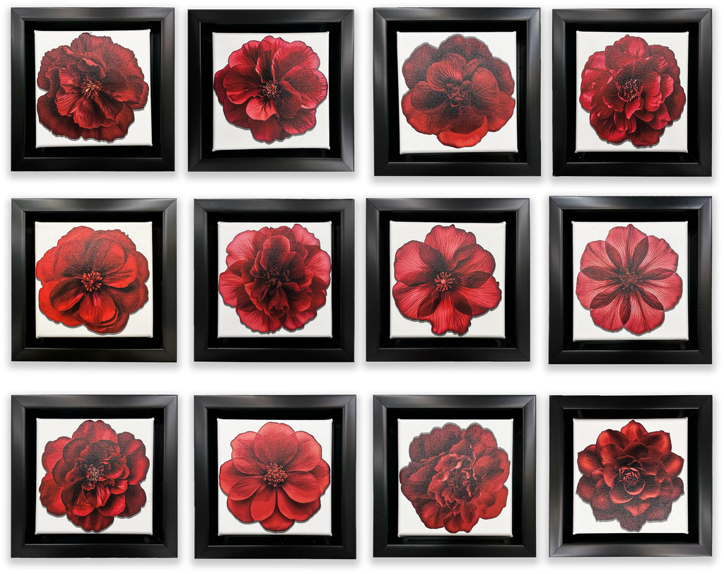 Set of 12 Mini Framed Fine Art Canvases