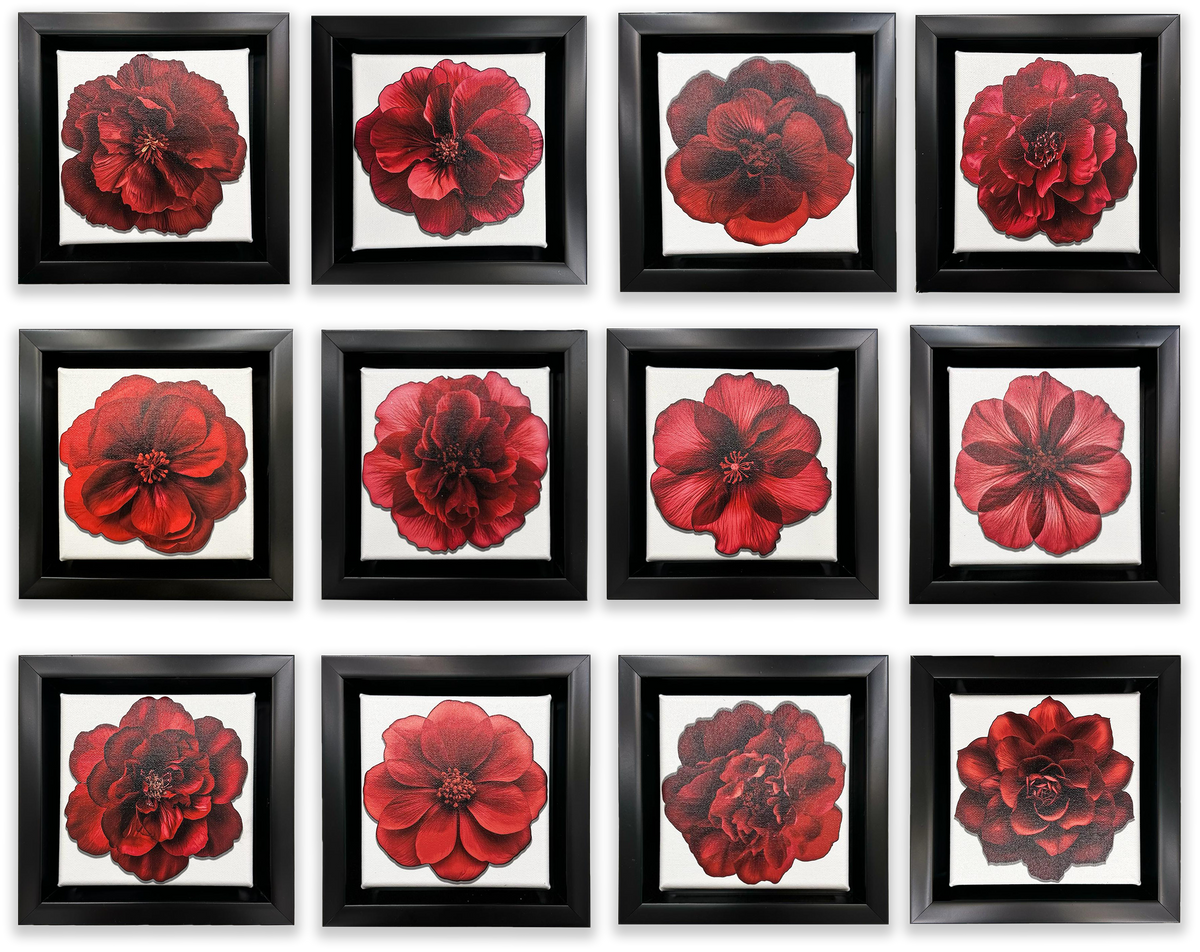 Set of 12 Mini Framed Fine Art Canvases